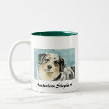 Le chien AR "de berger australien" attaquent Tasse À Café