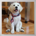 le chien le plus mignon dans l'affiche du monde
