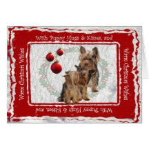 Le chiot de Noël de Yorkie étreint et embrasse la 
