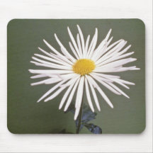 Le chrysanthème jaune axe (fleuriste Chrysanthem Tapis De Souris