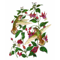 Le colibri d'Allan avec Fuschia T-shirt