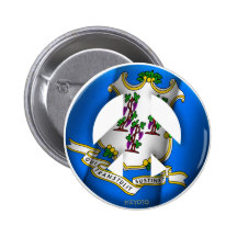 Le Connecticut Pin's Avec Agrafe