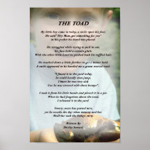 Le crapaud affiche