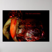 Le dernier mastodonte affiches