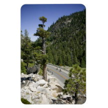 Le dernier passage magnets souples