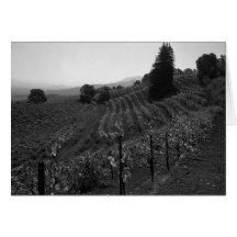 Le détail, vignobles de Draper s'approchent de la  Carte De Vœux