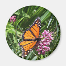 Le dîner du monarque magnets