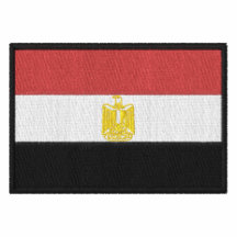 Le drapeau de l'Egypte a brodé la chemise - person