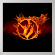 Le feu posters