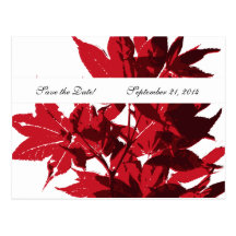 Le feuille rouge fait gagner la date carte postale