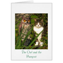 Le hibou et la carte de note de minou