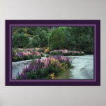 Le jardin affiche