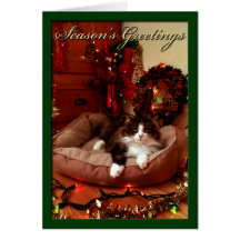 Le Joyeuses Fêtes, marie Noël, Noël, chat Cartes De Vœux