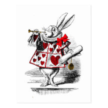 Le lapin blanc cartes postales
