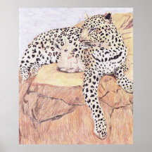 Le léopard et la chèvre de bébé posters