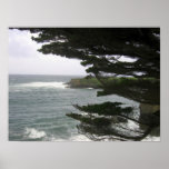 Le long de la route 3 de Côte Pacifique Affiche