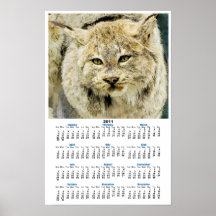 Le mur de 2011 chats sauvages a classé le calendri affiche