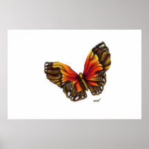 LE PAPILLON DE WARPPED AFFICHES