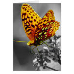 Le papillon jaune cartes de vœux