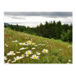 Le parc national de Fundy donnent sur la carte pos