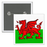 Le Pays de Galles Badges