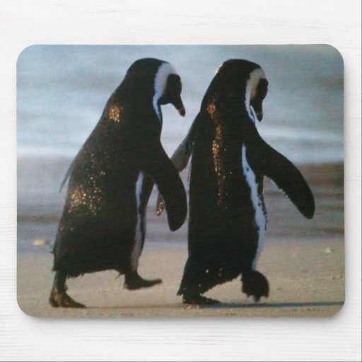 LE PINGOUIN PARTNERS MOUSEPAD TAPIS DE SOURIS