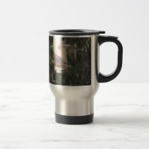 Le pinson de Cassin à un conducteur d'oiseau Tasse