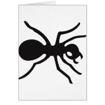 Le Prodigy Carte