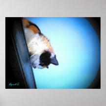 Le puma regarde vers le bas par le djoneill posters
