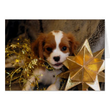 Le Roi cavalier Charles Holiday Star Carte