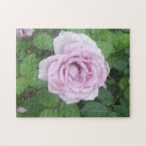 Le rose 2ème puzzles