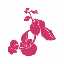 Le rose laisse la chemise
