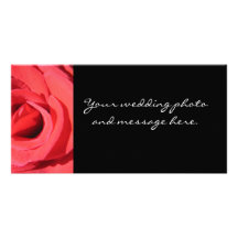 Le rose par la photographie de Kathryn Trembach Photocartes Personnalisées
