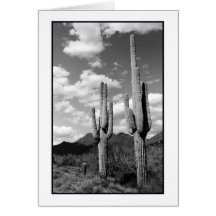 Le Saguaro veille sur la carte de voeux