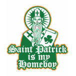 Le saint Patrick est mon Homeboy
