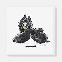 Le Schipperke laisse le jeu Magnets