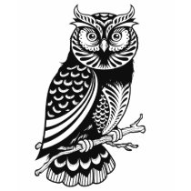 Le T-shirt des femmes mignonnes de hibou