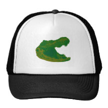 LE TERRITOIRE D'ALLIGATOR CASQUETTES DE CAMIONNEUR