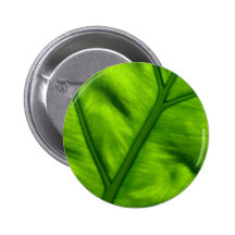 Le travail de la nature pin's