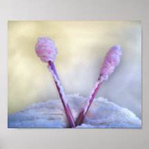 Le tricot est ciel sur terre poster