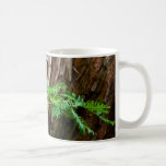 Le tronc laisse la tasse