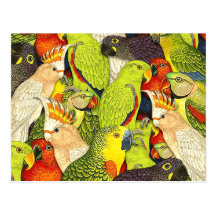 Le vert lunatique de nature Parrots le motif d'ois Cartes Postales