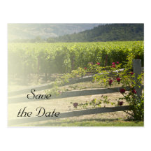 Le vignoble et le mariage rose de barrière font ga cartes postales
