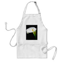 Le zantedeschia élégant fleurit 15 modernes tablier