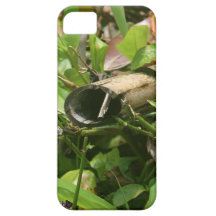 L'eau de Vieux Monde Coque iPhone 5 Case-Mate