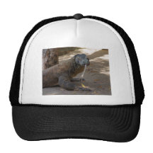Lèchement de dragon de Komodo Casquettes