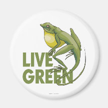 Leef Groen Magneten