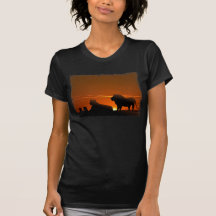 leeuw familie shirts