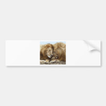 leeuw pic bumperstickers