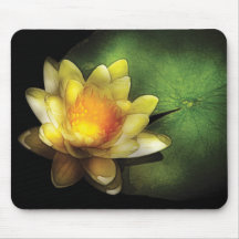 Lelie - Nymphaea Chromatella - Gele Lelie Muismatten
